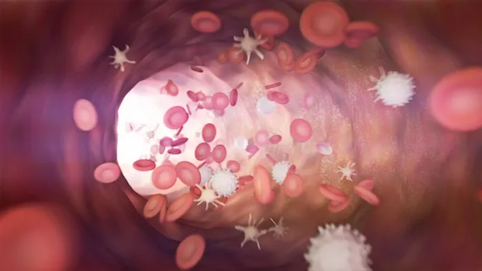 Platelet Count